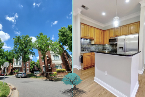 764-N-Davidson-St-1105-Charlotte-NC-28202-24