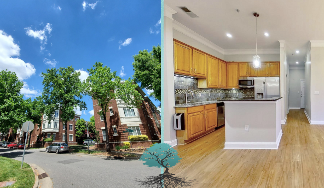 764 N Davidson St 1105