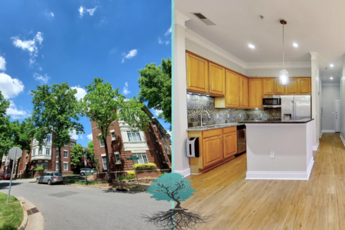 764 N Davidson St 1105