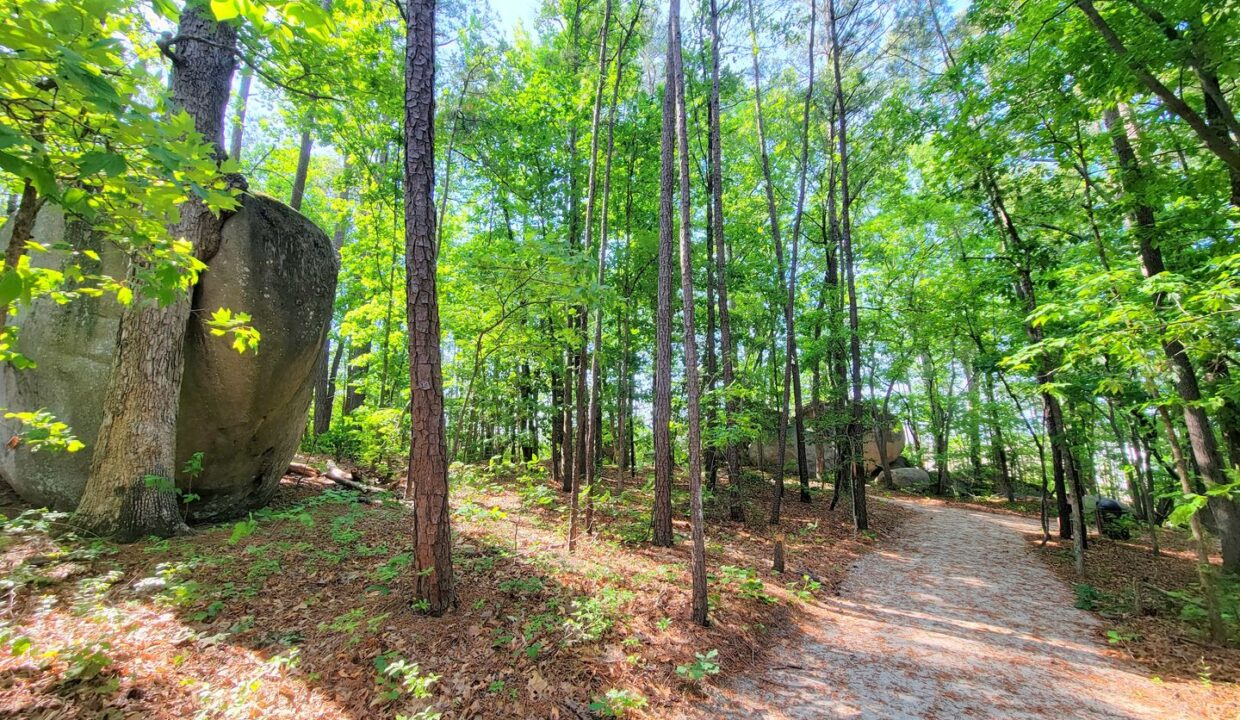 828-Basswood-Glen-Trl-Knightdale-NC-27545-15