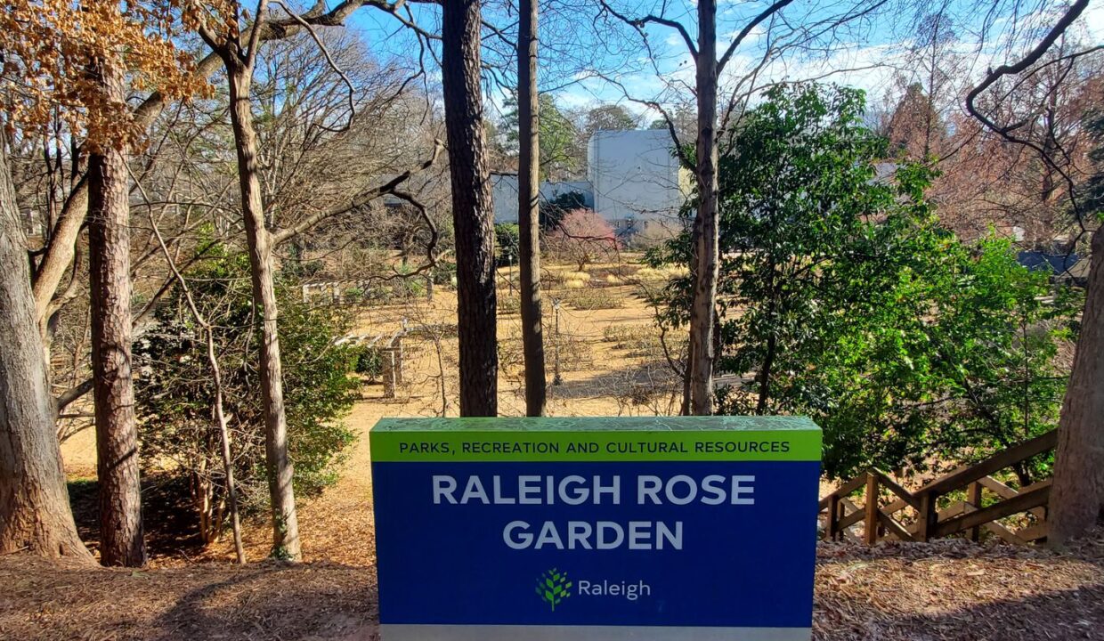 405-Gardner-St-Raleigh-NC-27607-8