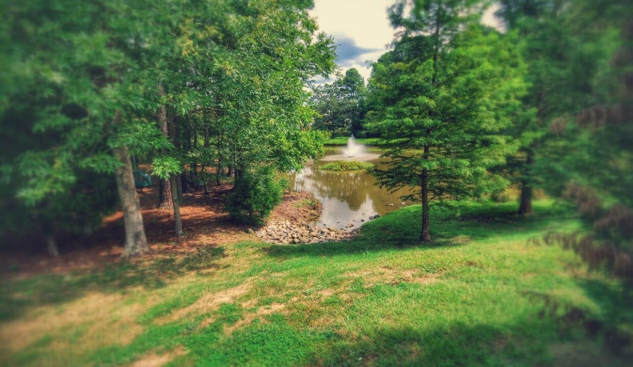 414-Longford-Ct-Durham-NC-27713-33