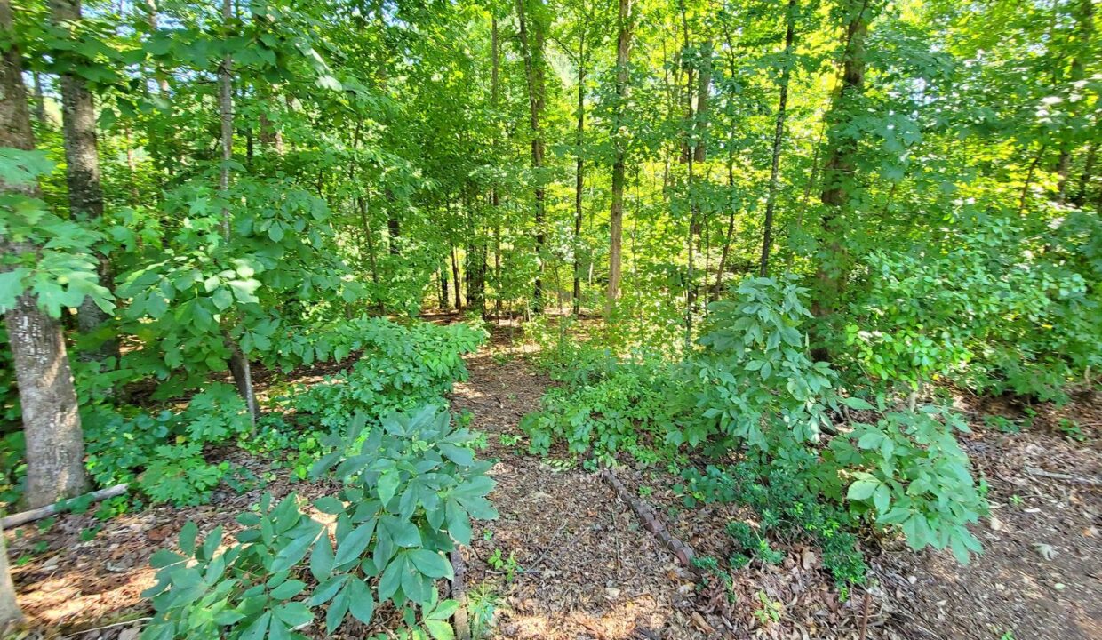 109-Highland-Mist-Cir-Apex-NC-27539-26