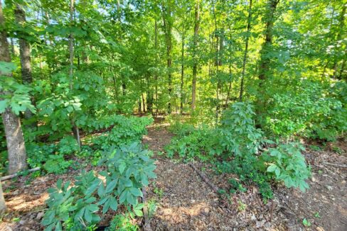 109-Highland-Mist-Cir-Apex-NC-27539-26