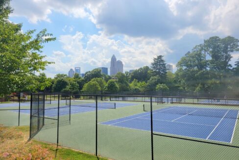 15041-New-Amsterdam-Ln-Charlotte-NC-28204-14