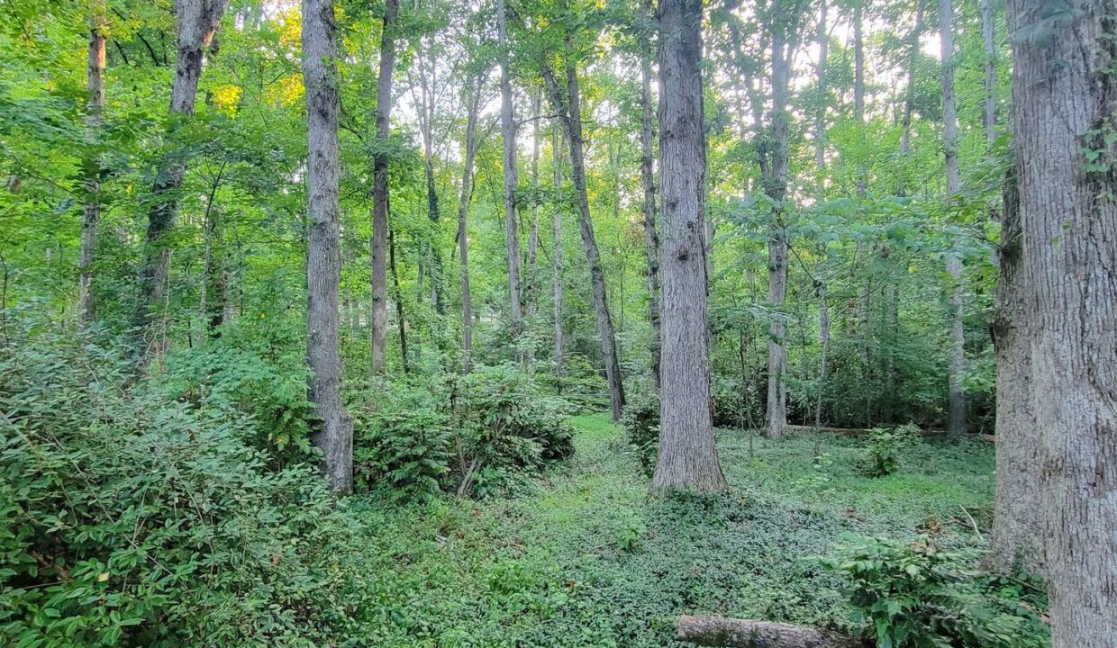 303-Driftwood-Dr-Piedmont-SC-29673-12
