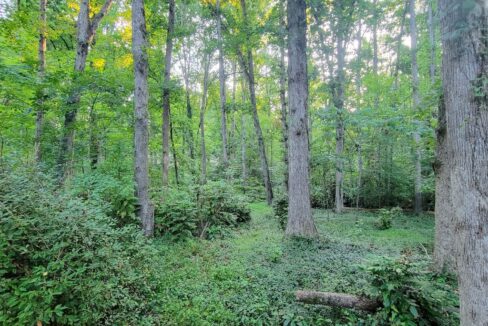 303-Driftwood-Dr-Piedmont-SC-29673-12