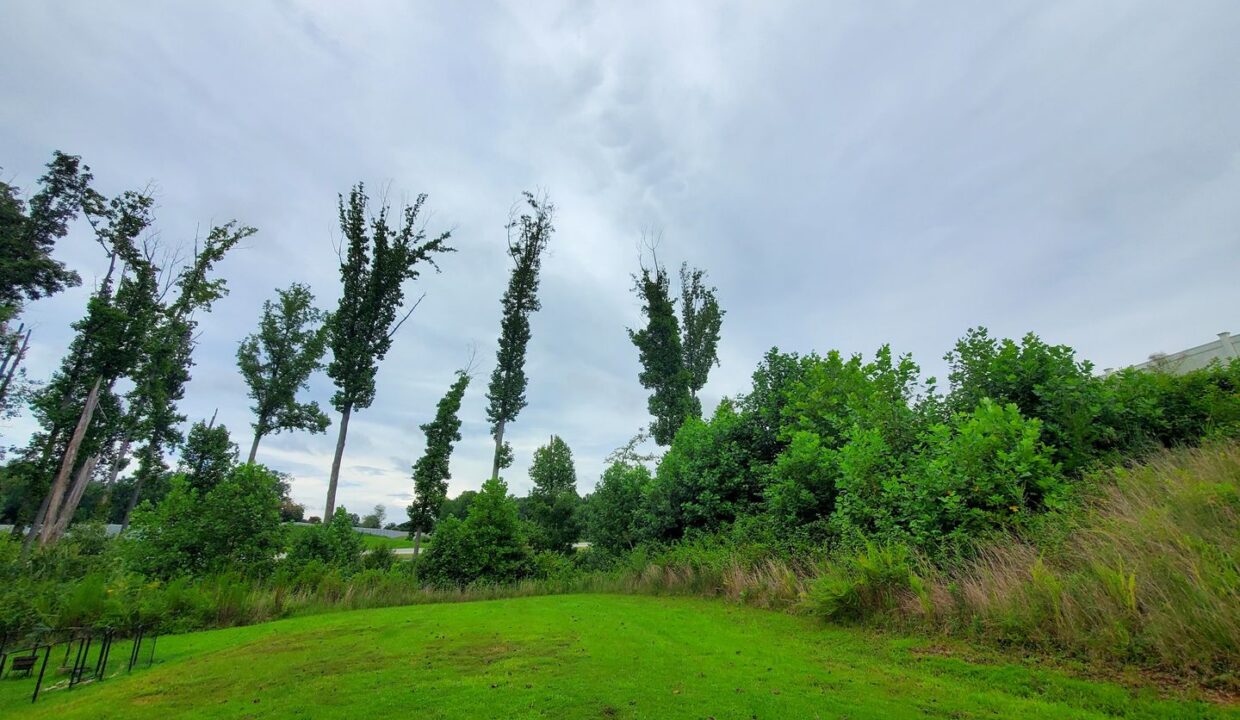 1031-Solstice-St-Rural-Hall-NC-27045-8
