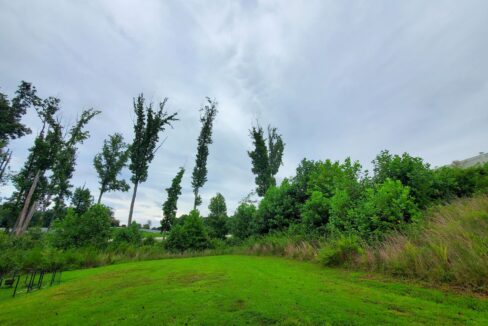 1031-Solstice-St-Rural-Hall-NC-27045-8