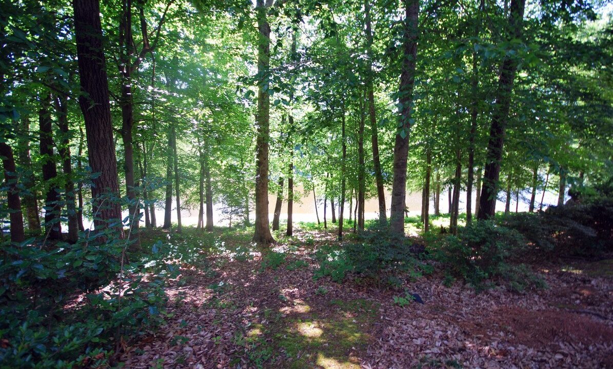313-Glen-Echo-Ln-Unit-D-Cary-NC-27518-23