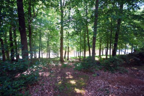 313-Glen-Echo-Ln-Unit-D-Cary-NC-27518-23