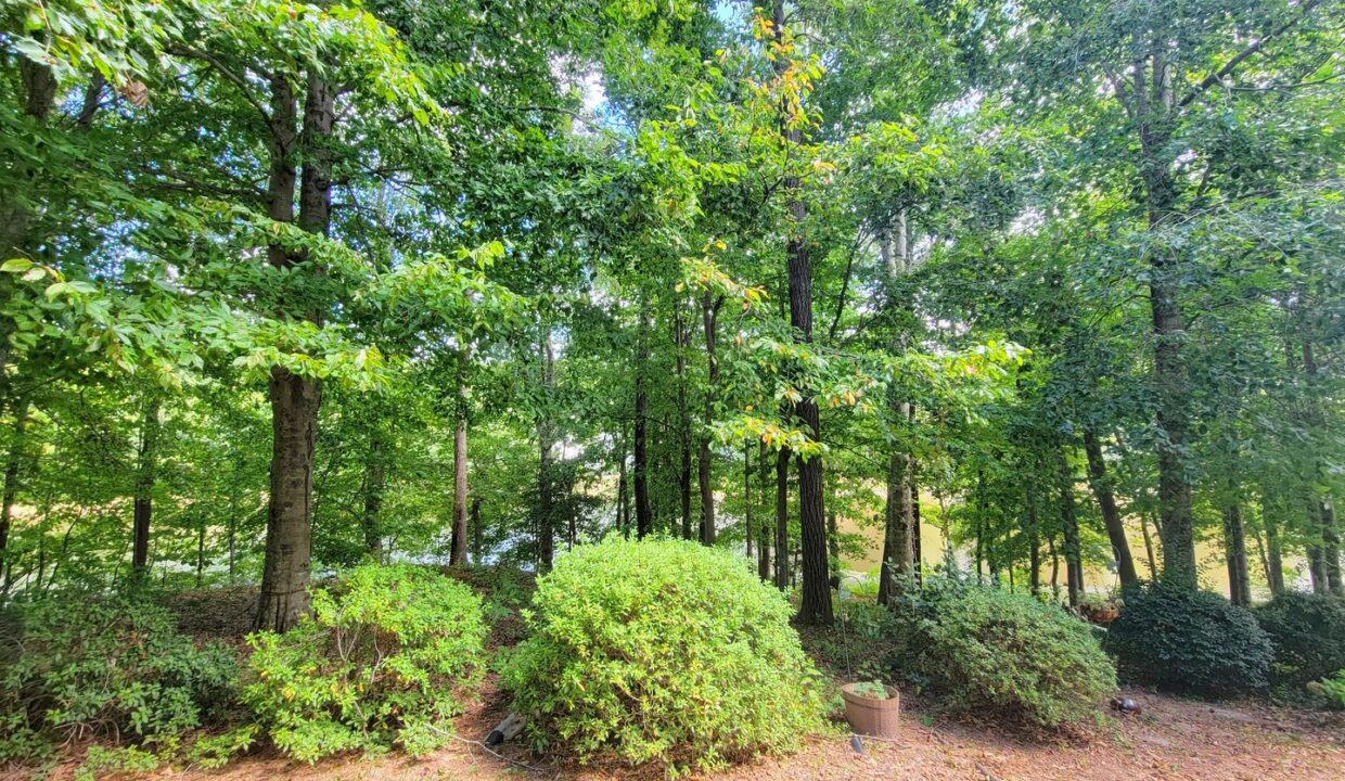 313-Glen-Echo-Ln-Unit-D-Cary-NC-27518-32