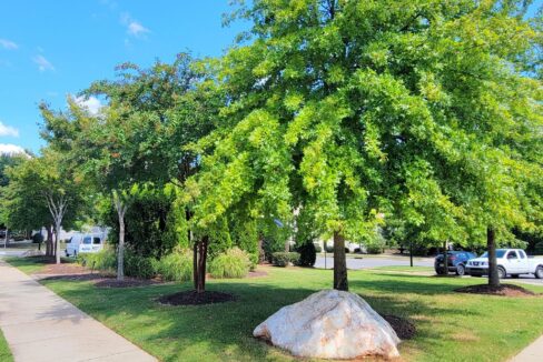 371-Roberts-Ridge-Dr-Cary-NC-27513-18