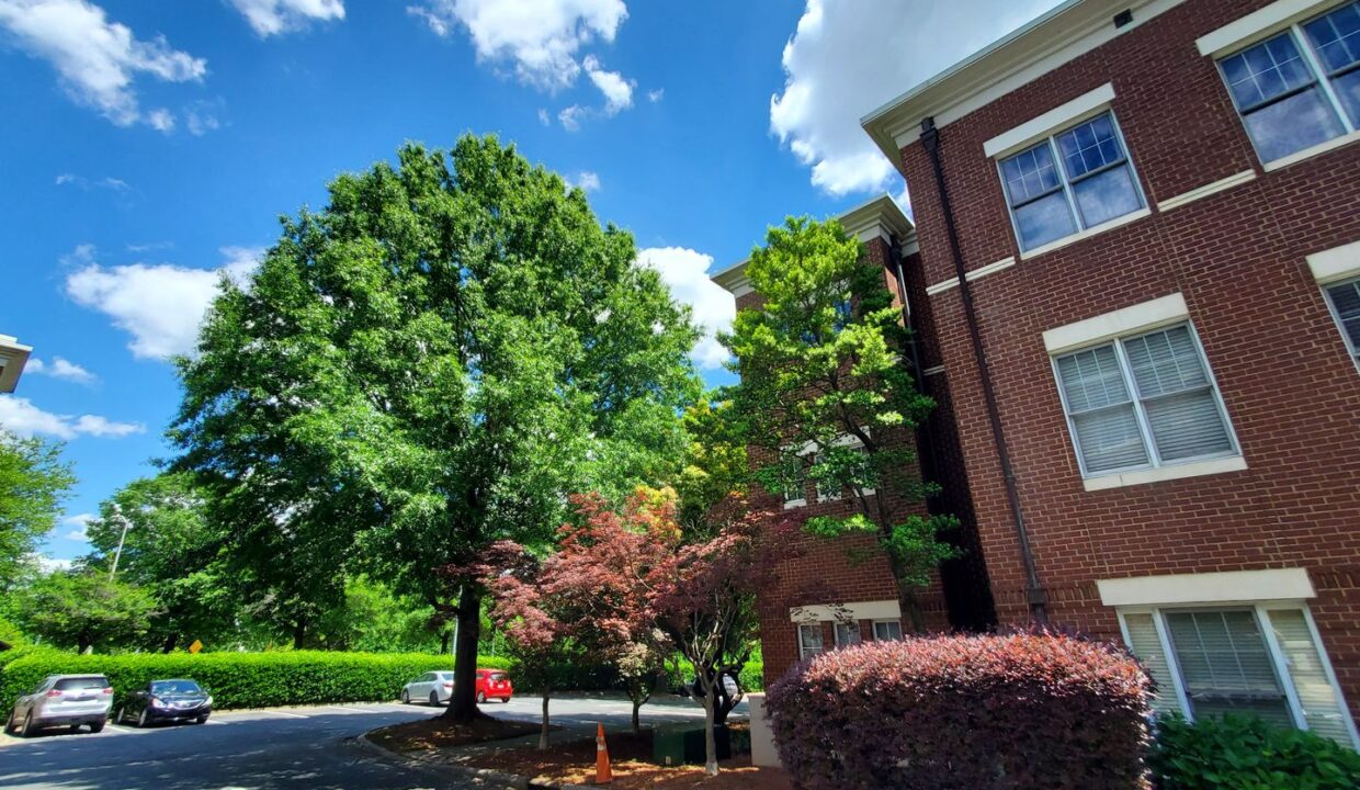 764-N-Davidson-St-1105-Charlotte-NC-28202-16