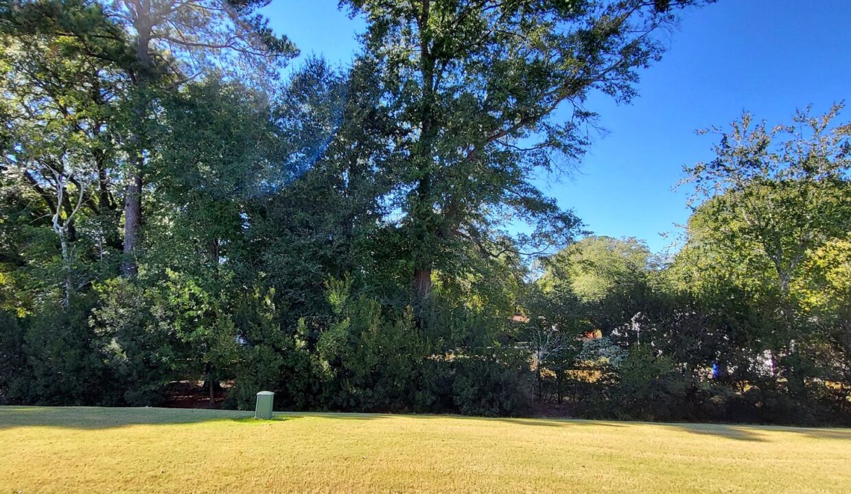 541-Barneswyck-Dr-Fuquay-Varina-NC-27526-22