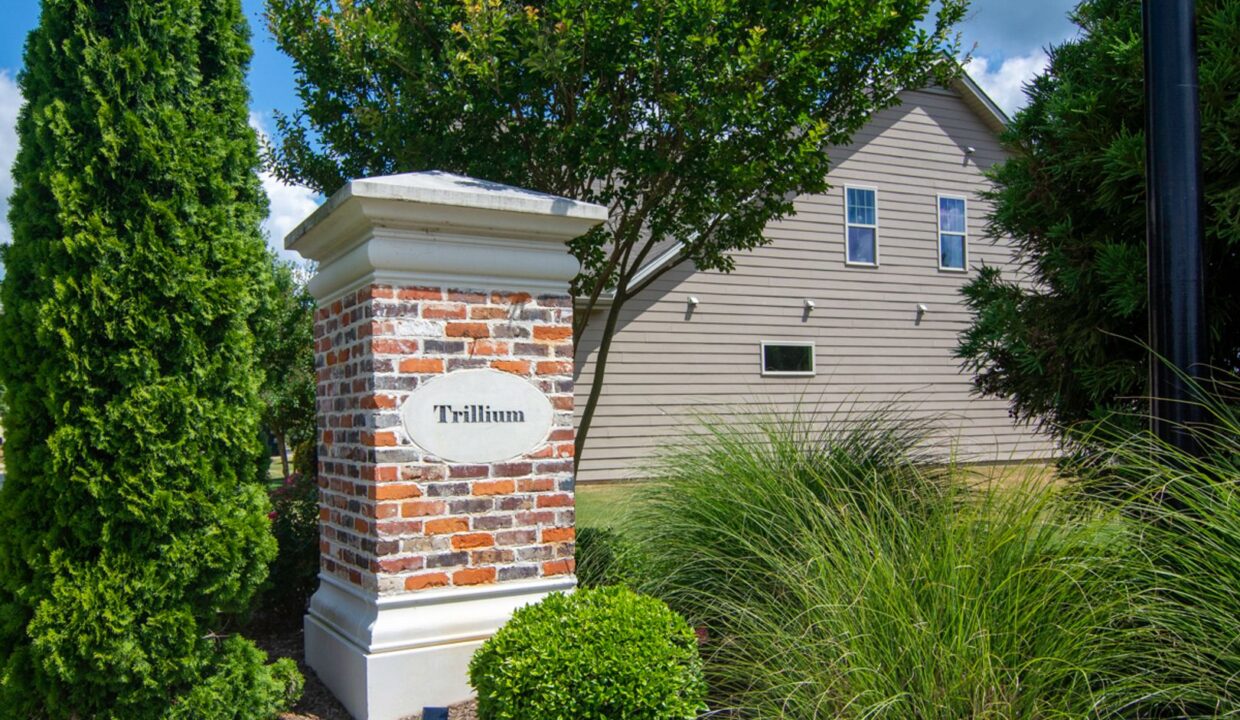 8-Hatfield-Way-Clayton-NC-27527-29