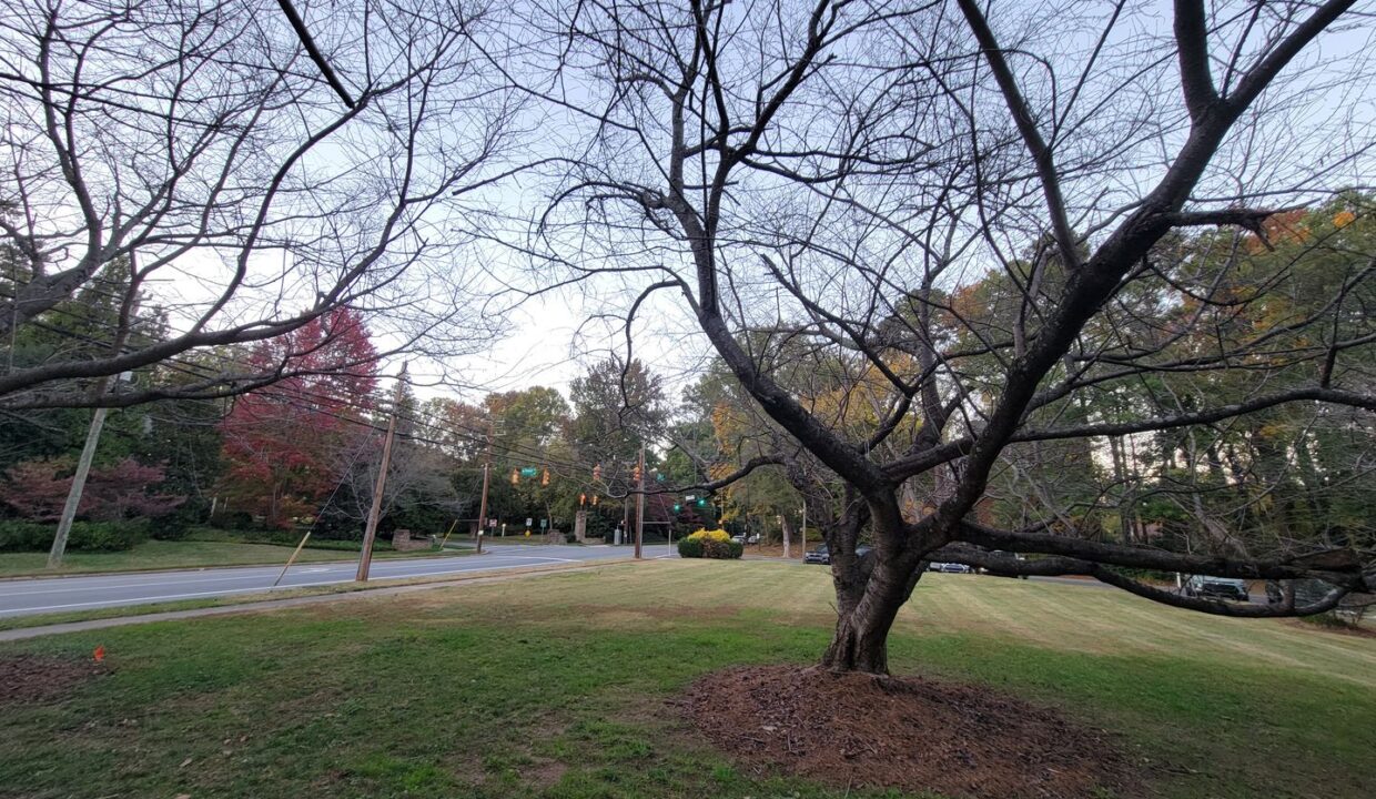 1700-N-Elm-St-Q1-Greensboro-NC-27408-12