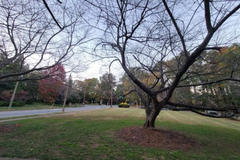 1700-N-Elm-St-Q1-Greensboro-NC-27408-12