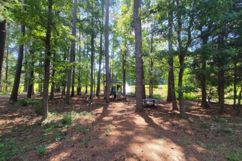 414-Longford-Ct-Durham-NC-27713-19