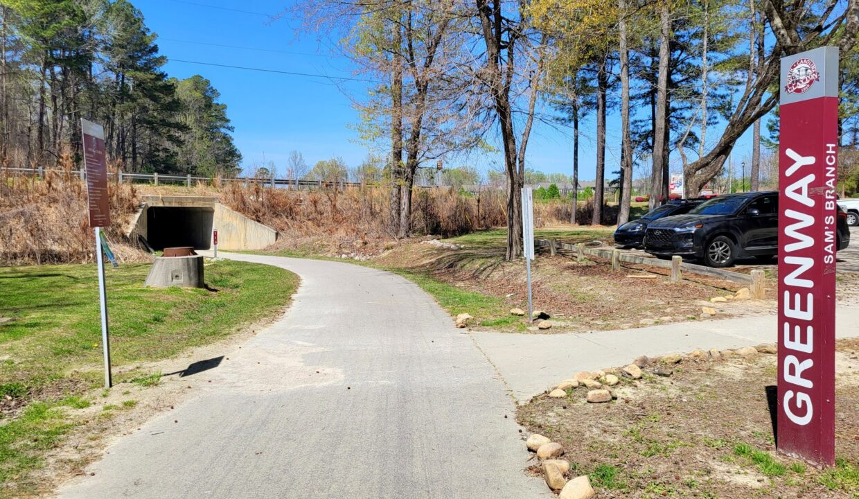 155-Calluna-Dr-Clayton-NC-27520-35