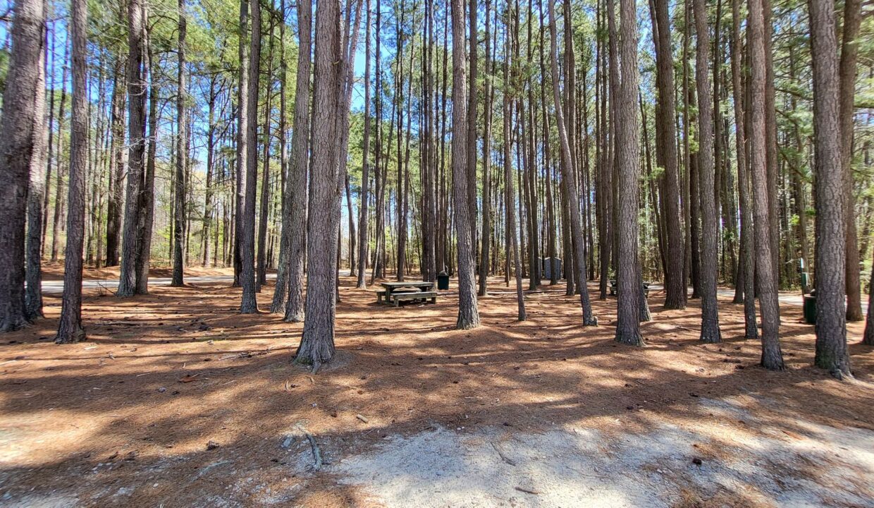 155-Calluna-Dr-Clayton-NC-27520-36