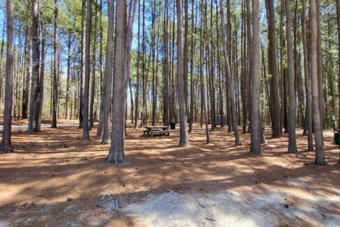 155-Calluna-Dr-Clayton-NC-27520-36