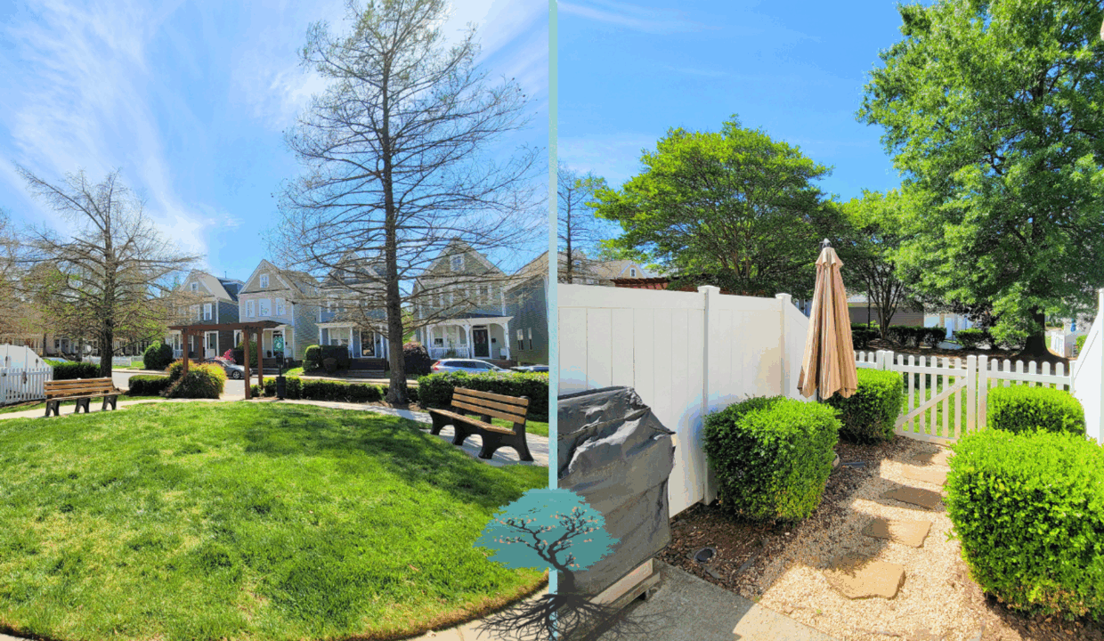 1812-Lela-Ave-Charlotte-NC-28208-43