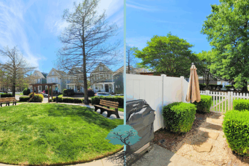 1812-Lela-Ave-Charlotte-NC-28208-43