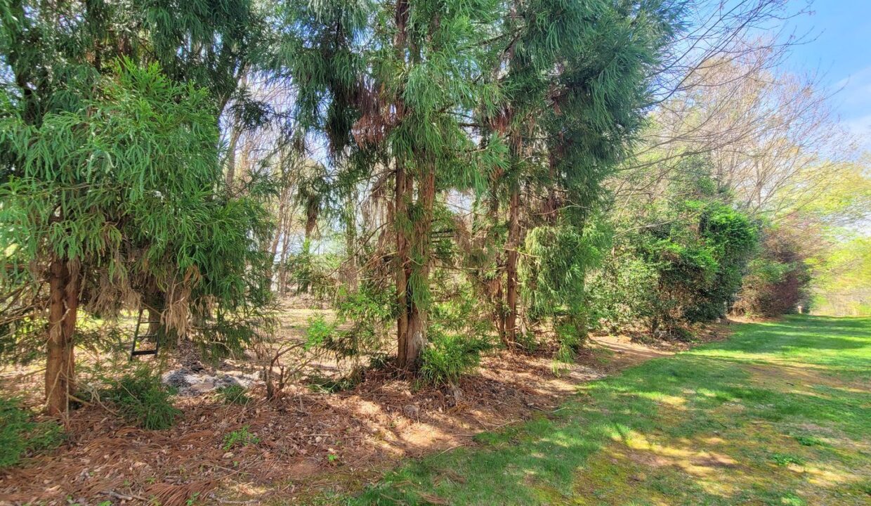 2660-Halle-Ann-Cir-Winston-Salem-NC-27103-19