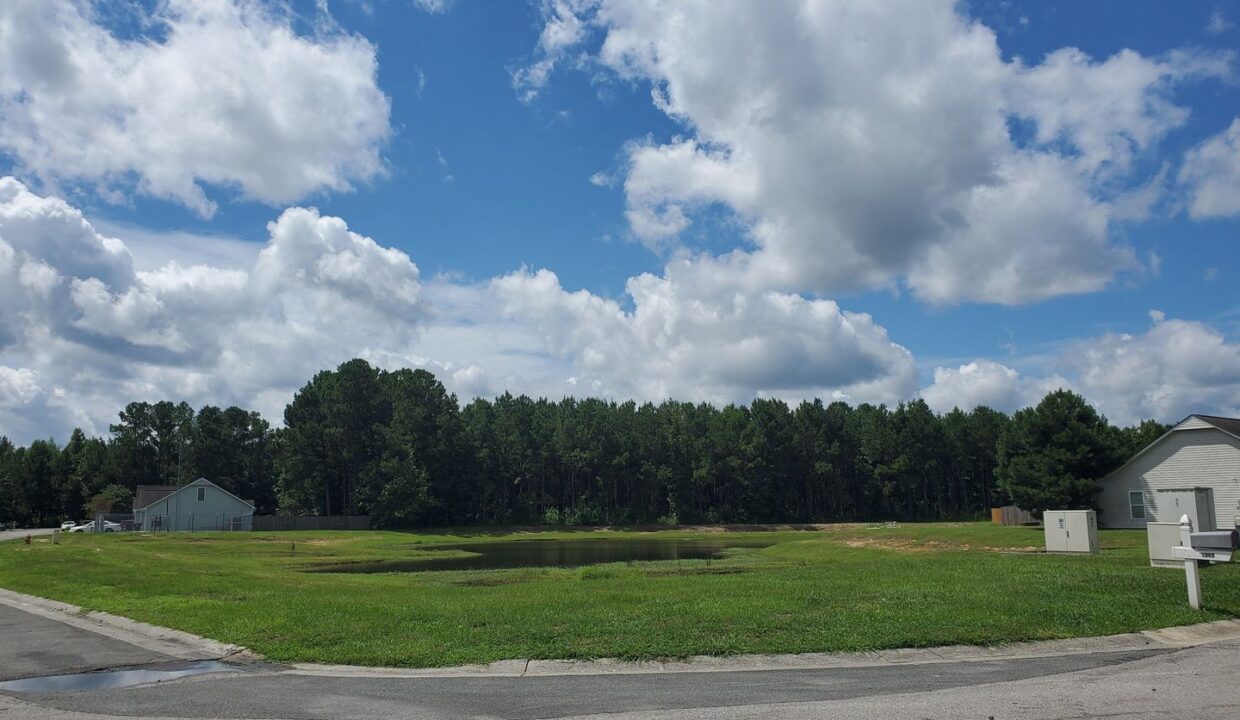 1517-Everett-Springs-Dr-Navassa-NC-28451-19