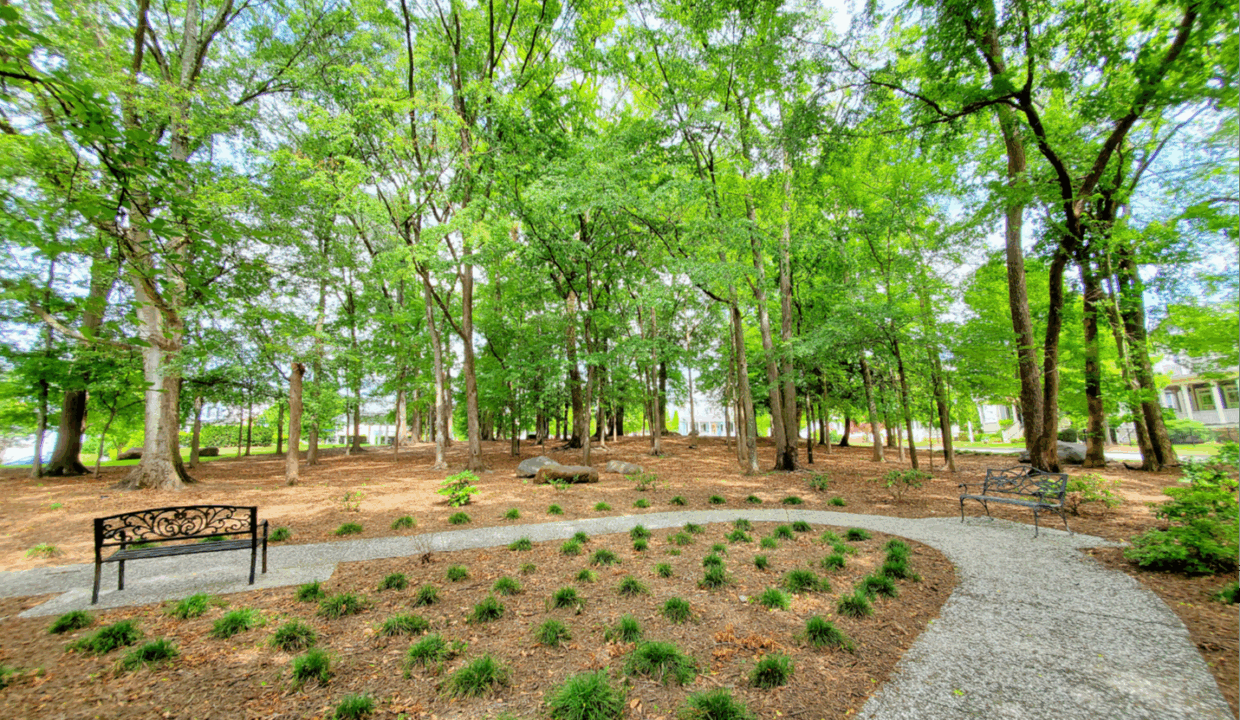 17011-Hedgerow-Park-Rd-Charlotte-NC-28277-46