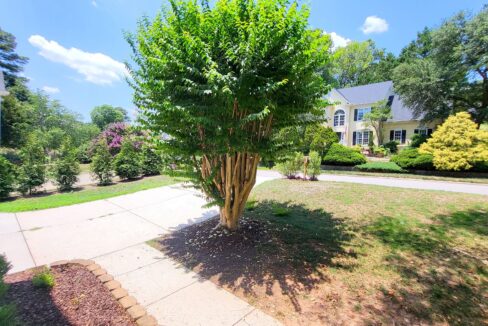 203-Rose-Valley-Woods-Dr-Cary-NC-27513-21