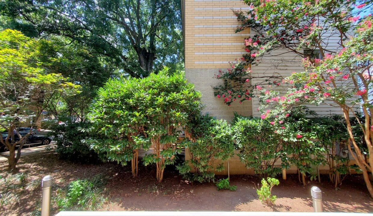295-McDonald-Ave-Charlotte-NC-28203-34