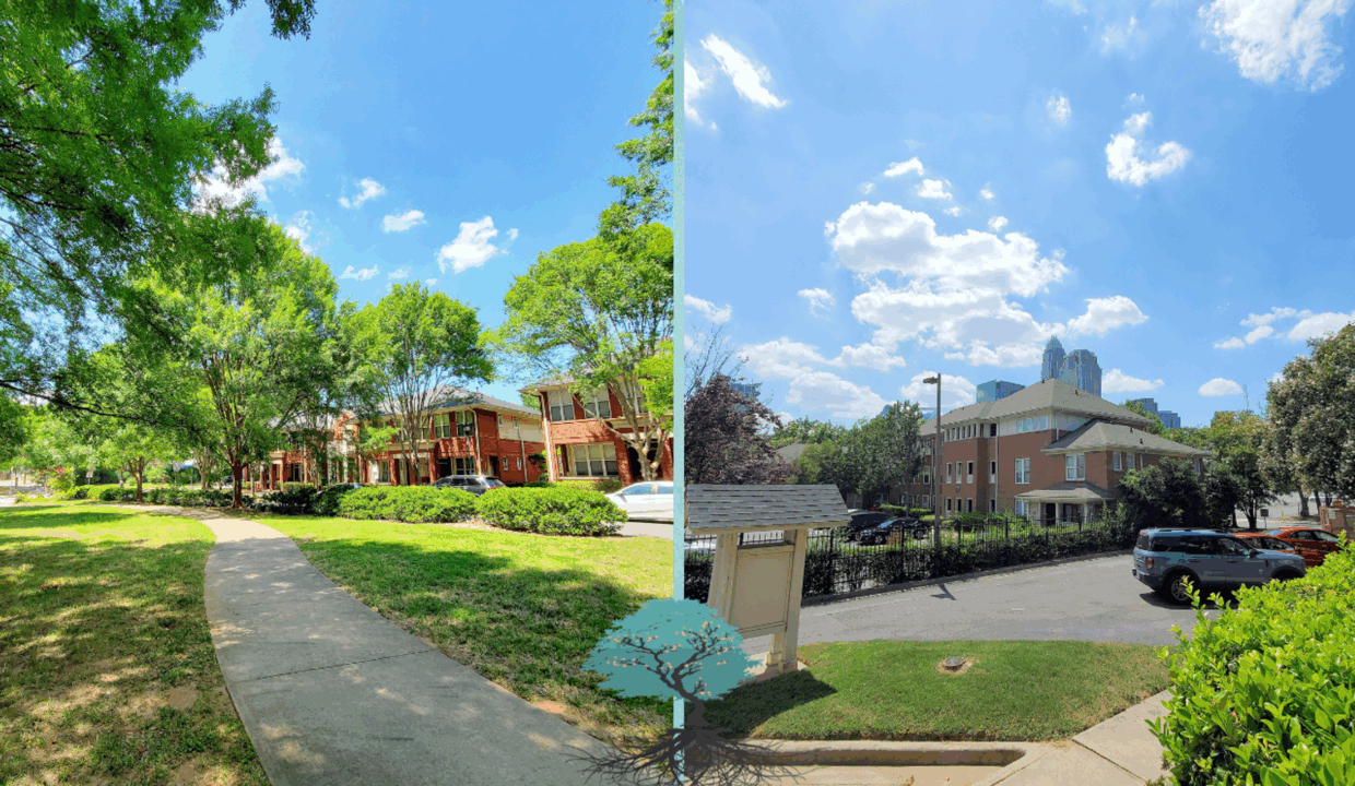 526-E-9th-St-Charlotte-NC-28202-39
