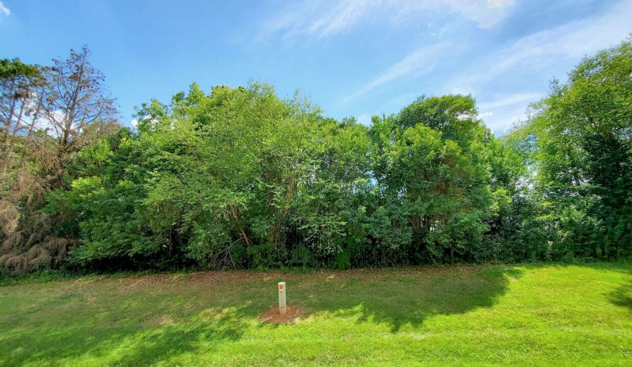 6712-Mallard-Park-Dr-Charlotte-NC-28262-41