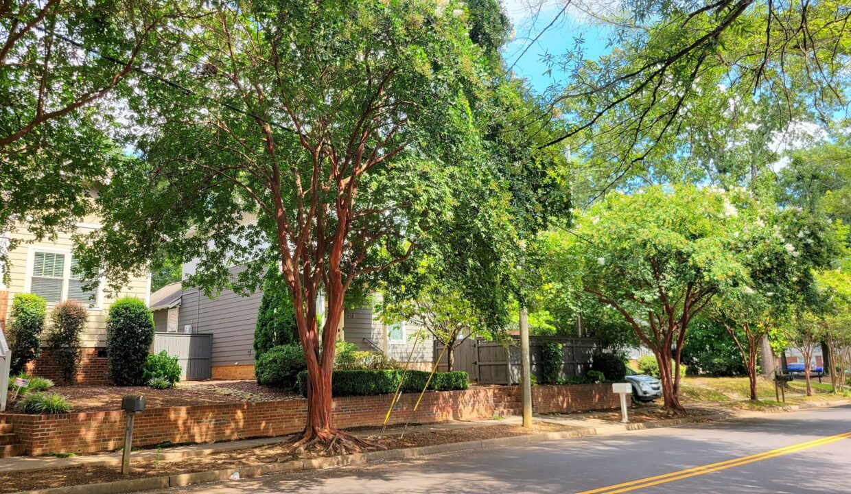 210-Pinckney-St-Greenville-SC-29601-23