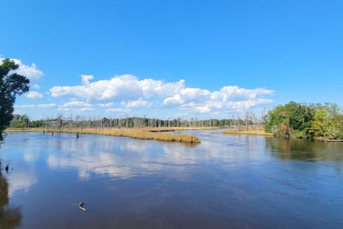 1641-King-St-Wilmington-NC-28401-13