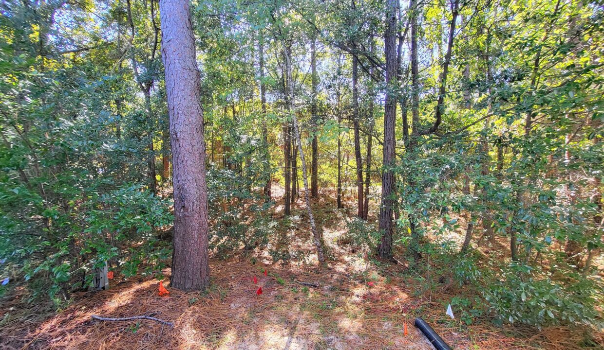2738-S-17th-St-A-Wilmington-NC-28412-14