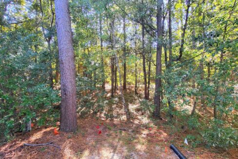2738-S-17th-St-A-Wilmington-NC-28412-14